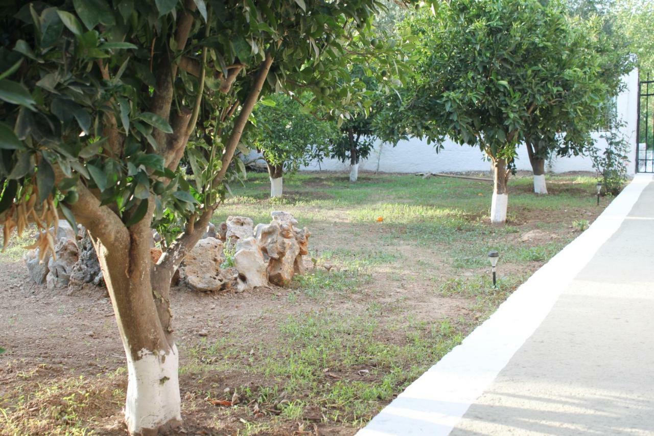 Vila Elias Maro House Avdou Exteriér fotografie
